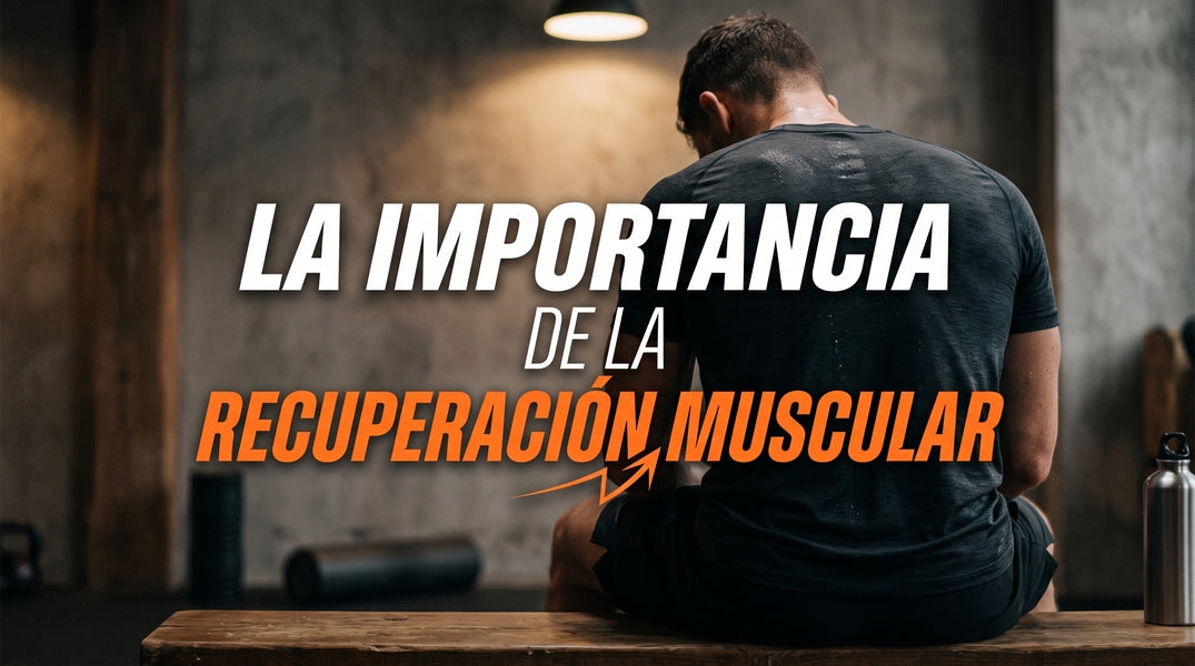La importancia de la recuperación muscular.